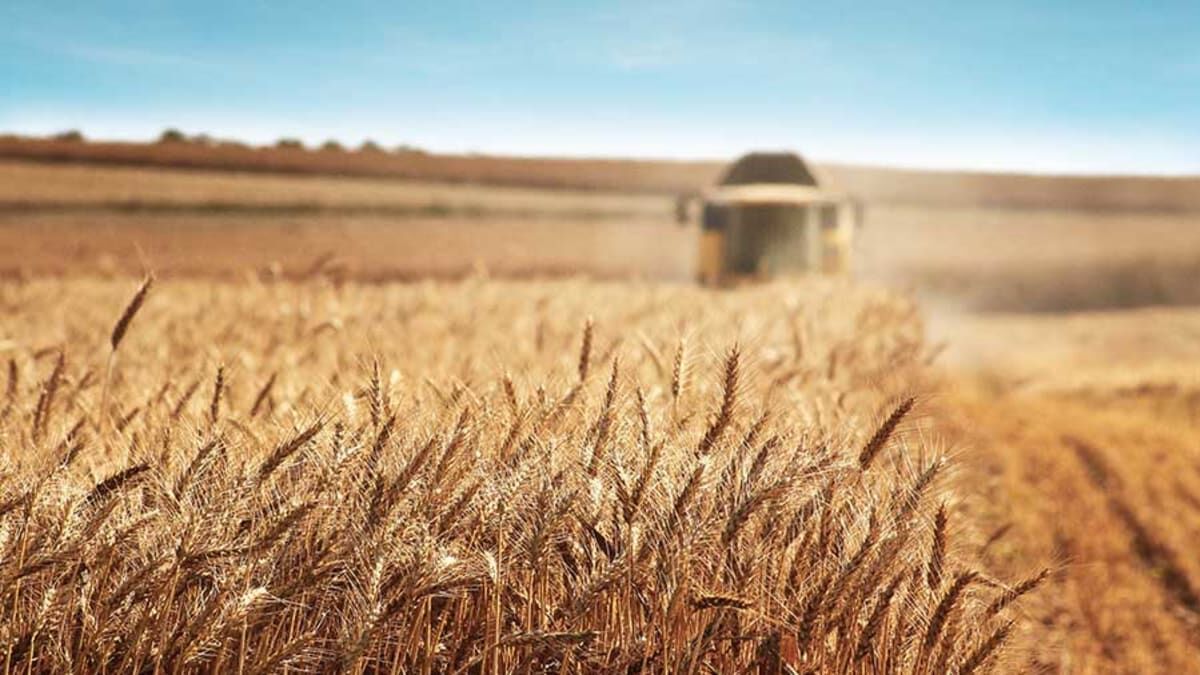 Generic Wheat Farming
